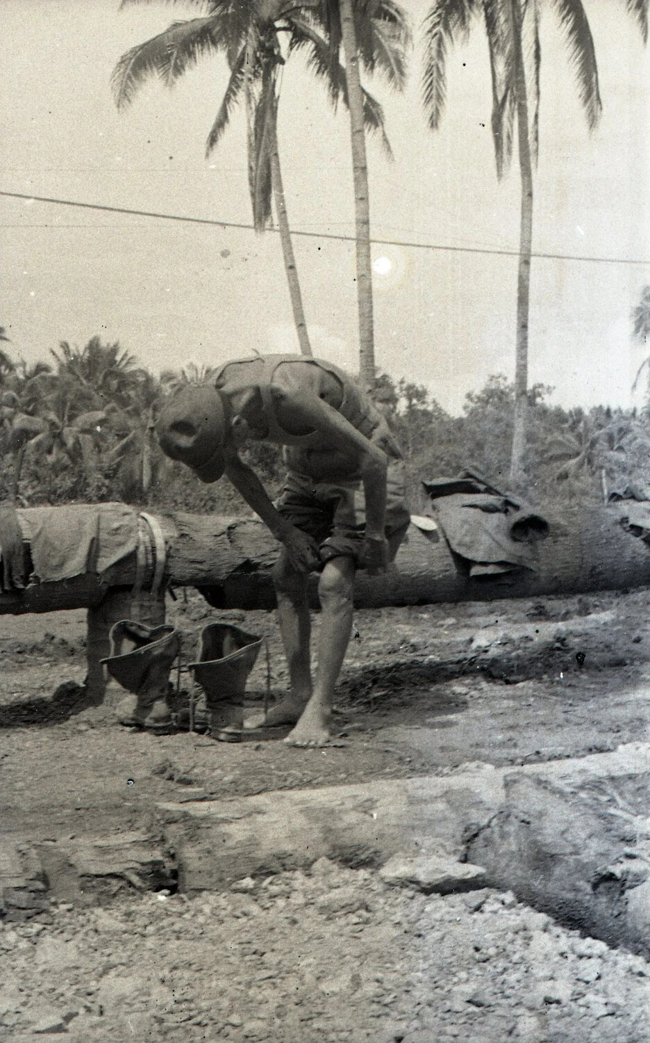 U.S. Soldier Resting Among Palm Trees, Luzon Campaign, Philippines, WWII