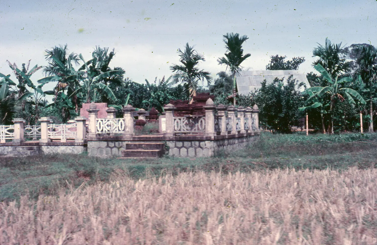 Vietnamese Ancestral Tomb Complex Amid Rice Paddies, South Vietnam, circa 1965