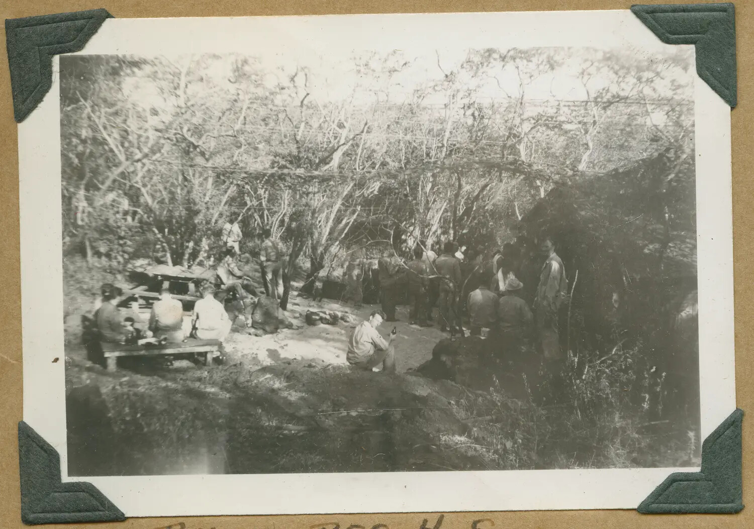 Soldiers Gathered at Field Camp, 105th Infantry Regiment Area, Hawaii, World War II Era