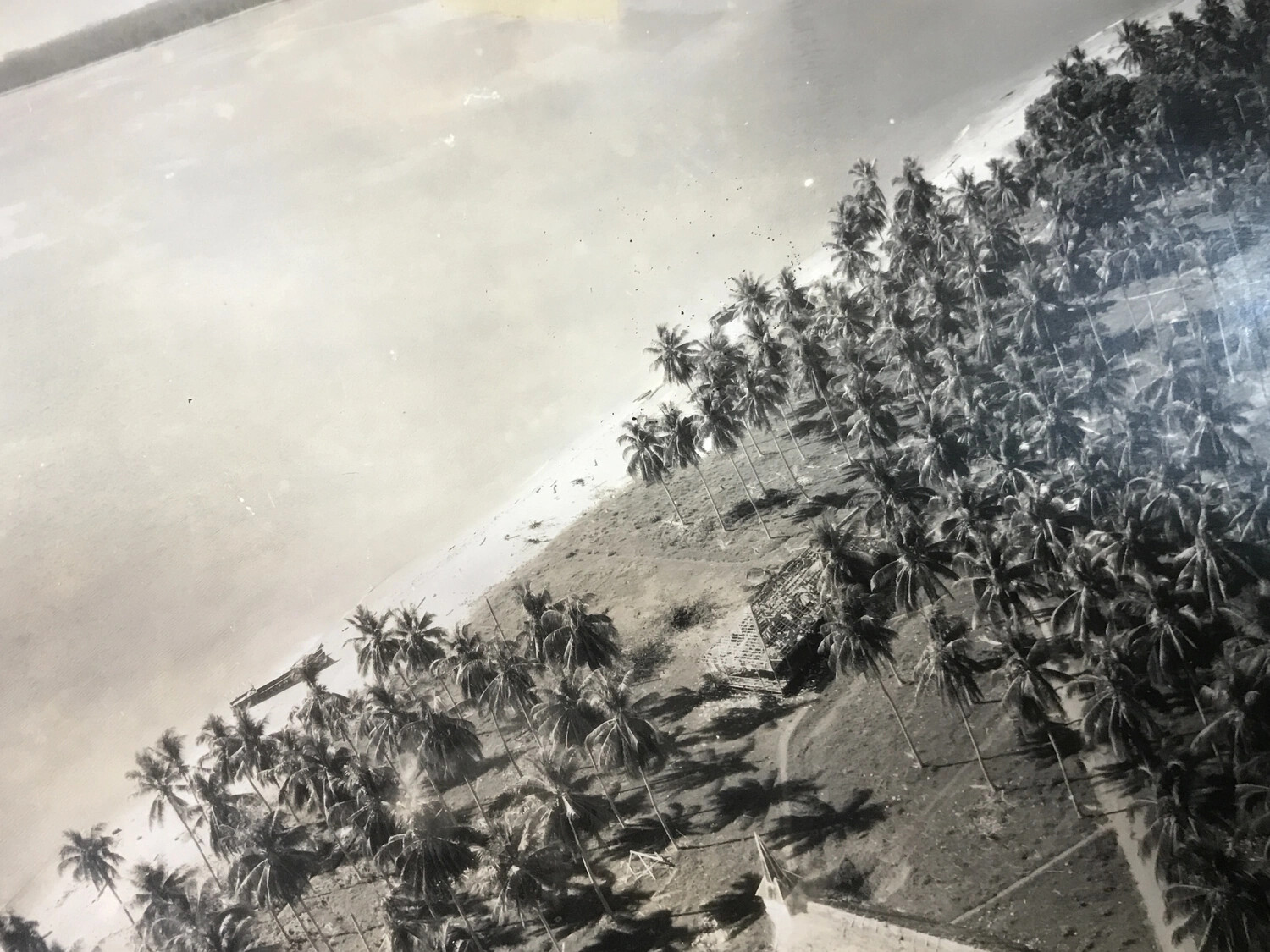 Aerial Oblique Reconnaissance Photograph, Coconut Plantation Coastline, Dagua Area, New Guinea