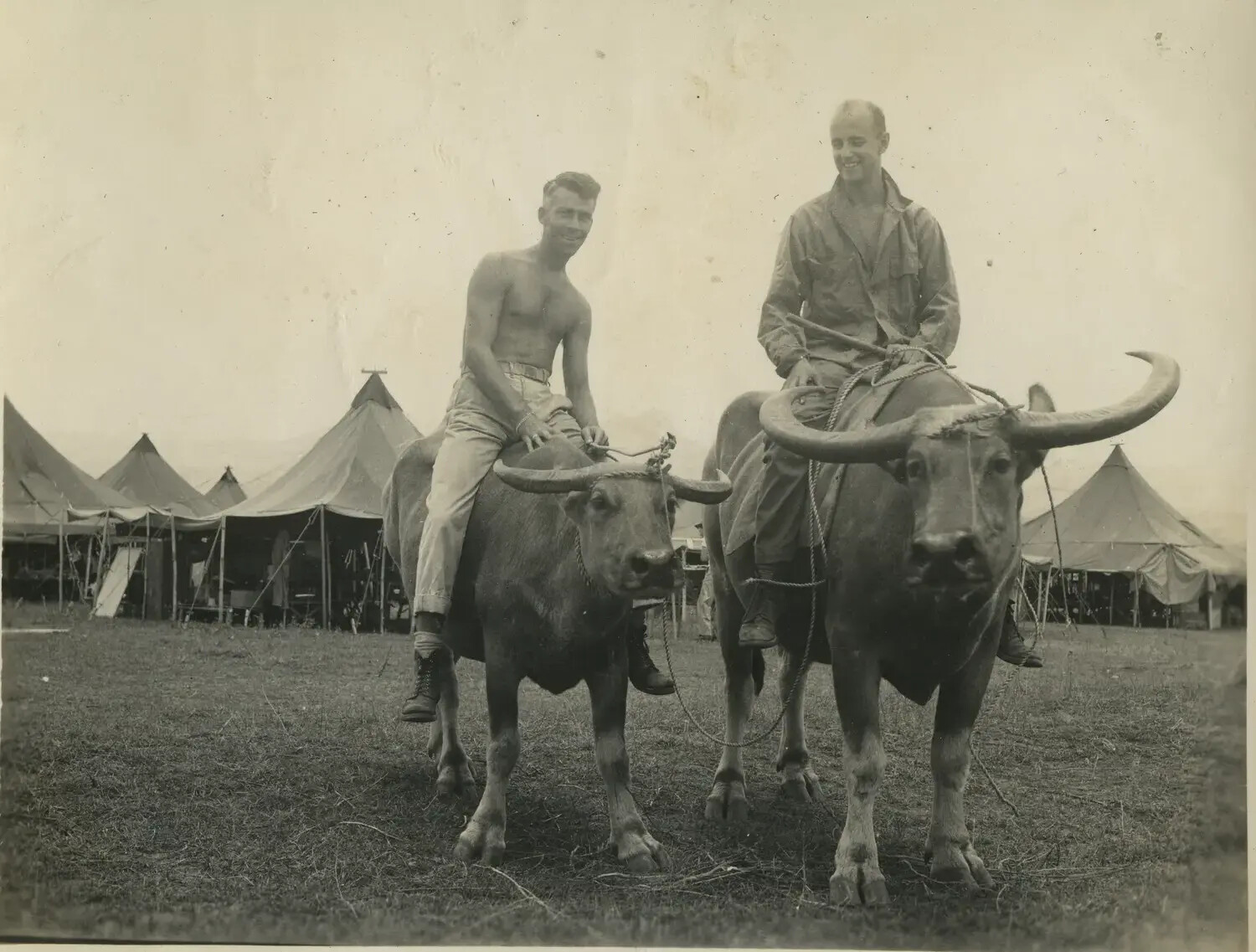 312th Bomb Group Airmen on Water Buffalo, Southwest Pacific, WWII