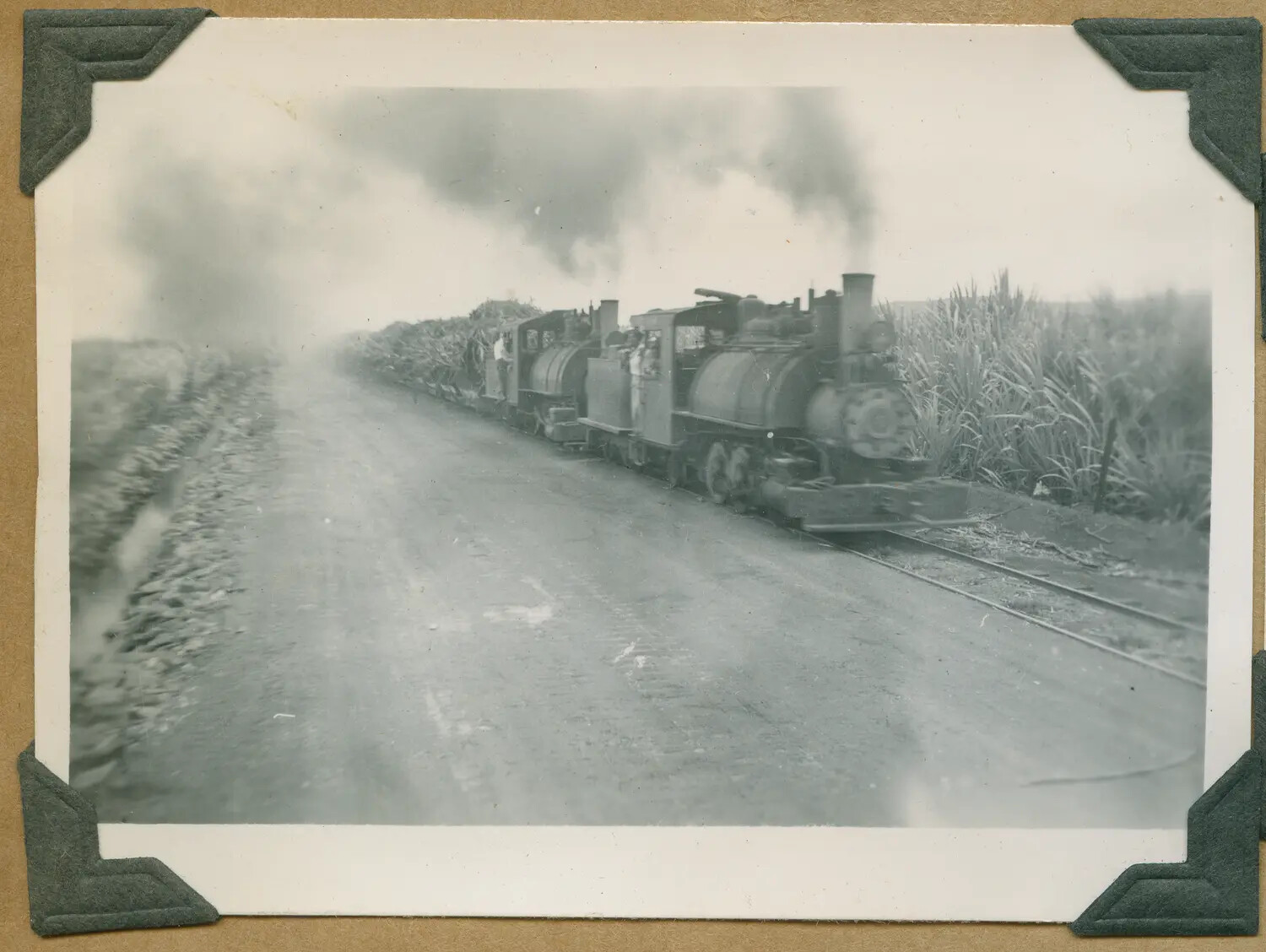 Sugar Plantation Cane Train with Two Steam Locomotives, Hawaii, WWII Era