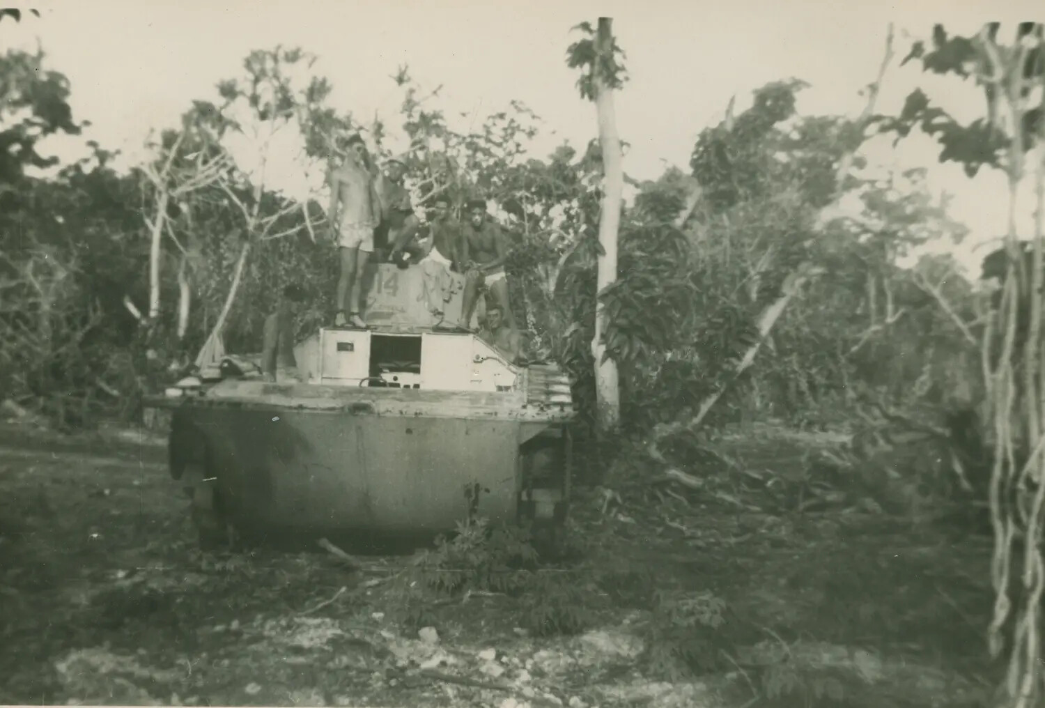 Servicemen Atop a Landing Vehicle Tracked (LVT) 'Amtrac' No. 14 in Jungle Terrain, Pacific Theater WWII (McAleer Collection)