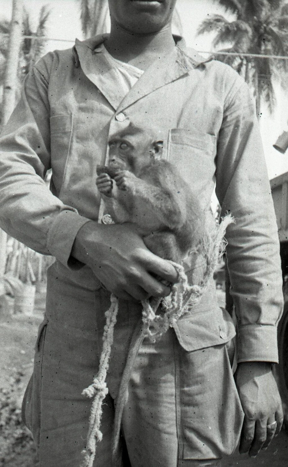 Serviceman Cradling a Young Pet Monkey, Luzon, Philippines, WWII Era