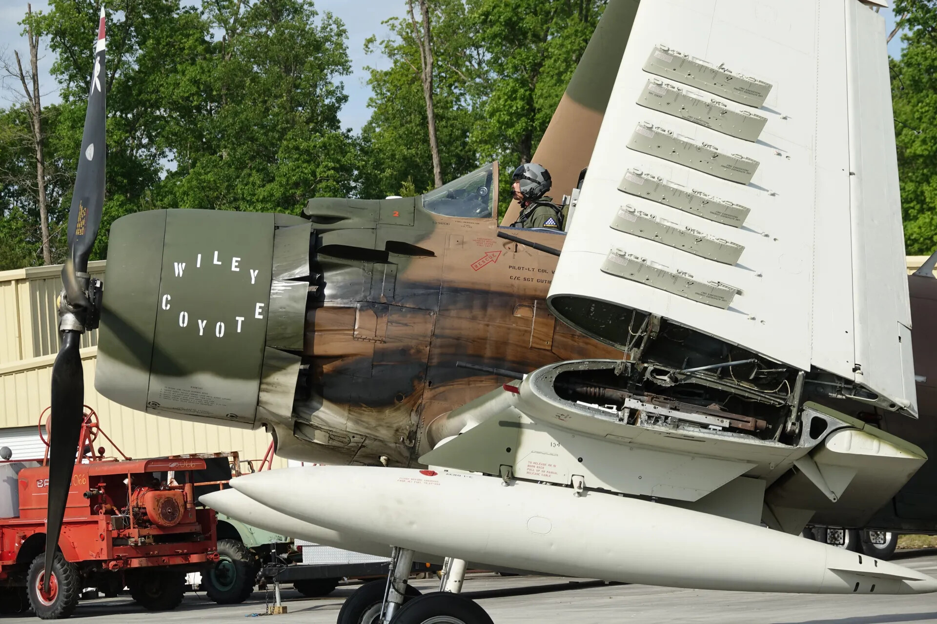 A-1 Skyraider "Wiley Coyote" with Wing Folded and Gun Bay Open, Static Display at May 2019 Event