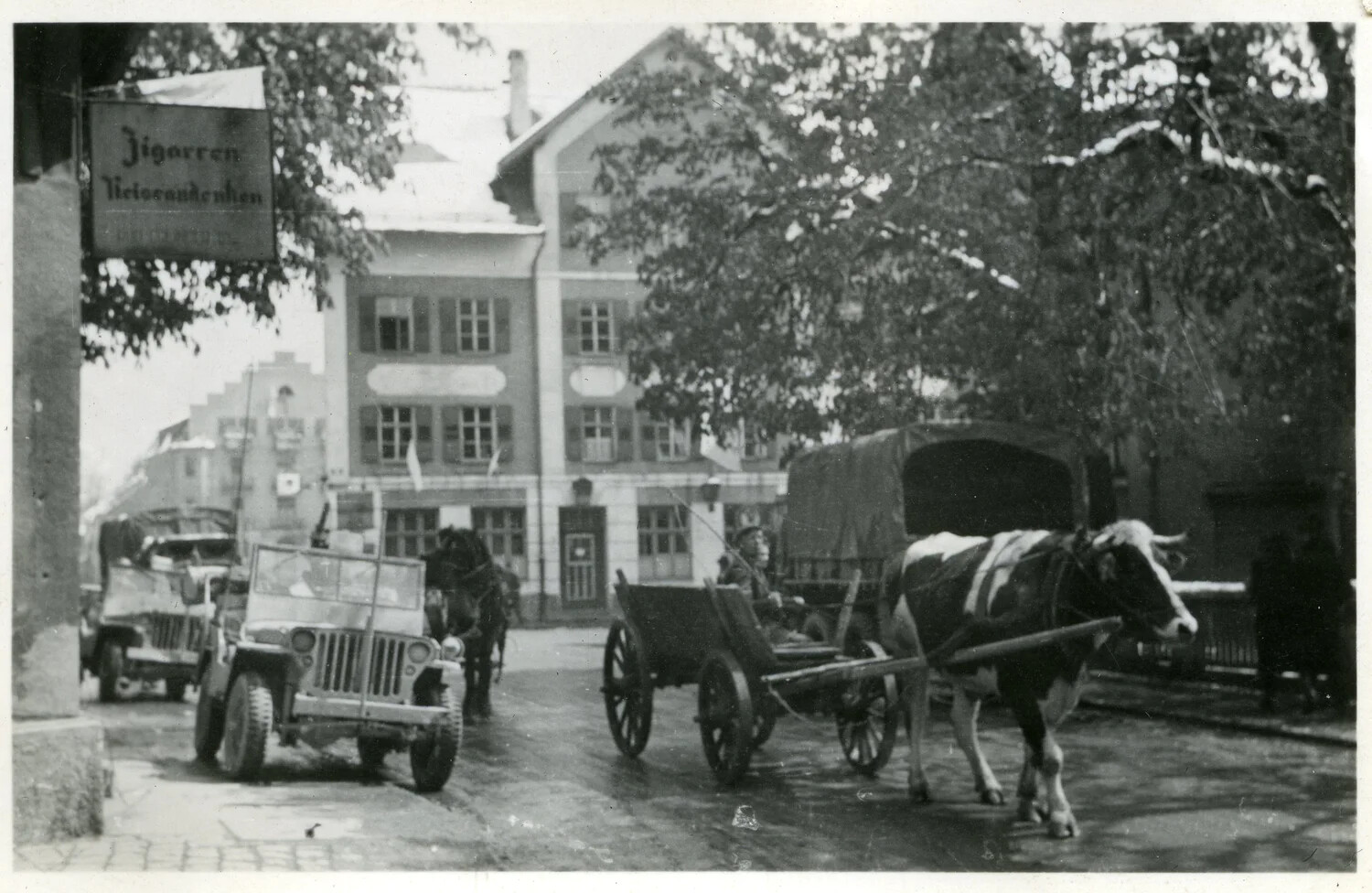 U.S. Army Jeeps and Ox Cart in German Town Street, 44th Infantry Division Collection