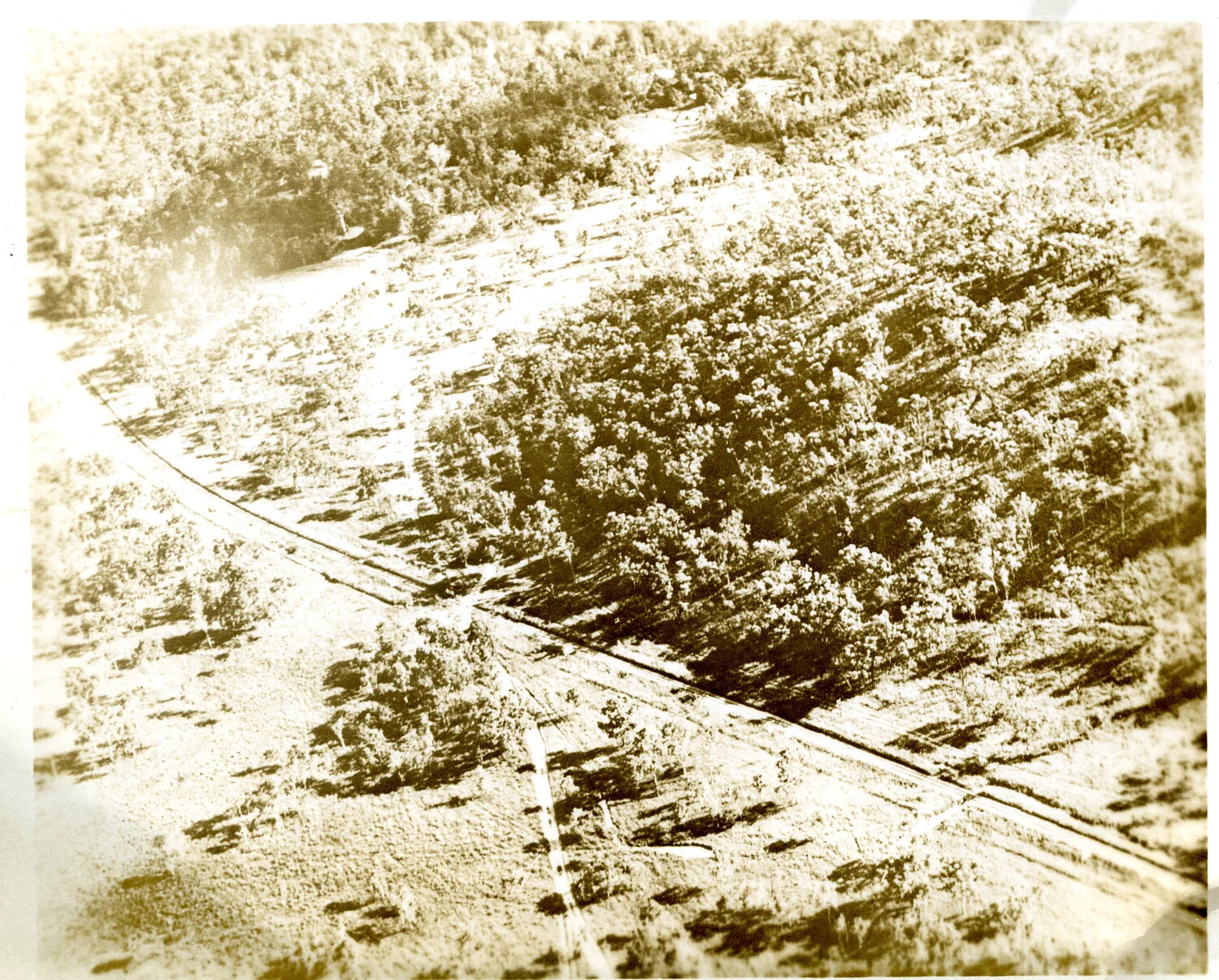 Oblique Aerial Photograph of Wooded Terrain with Crossroads, WWII Era