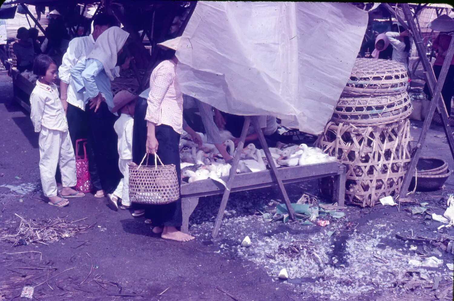 Vietnamese Street Market with Poultry Vendor -- 1965, 3rd Tactical Fighter Wing Collection