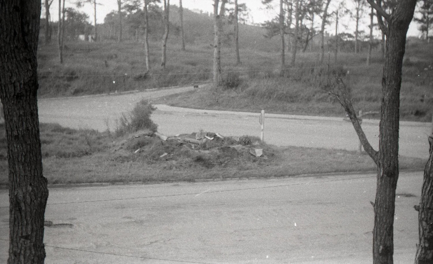 Road Junction with Debris Pile, Camp John Hay, Baguio, Philippines