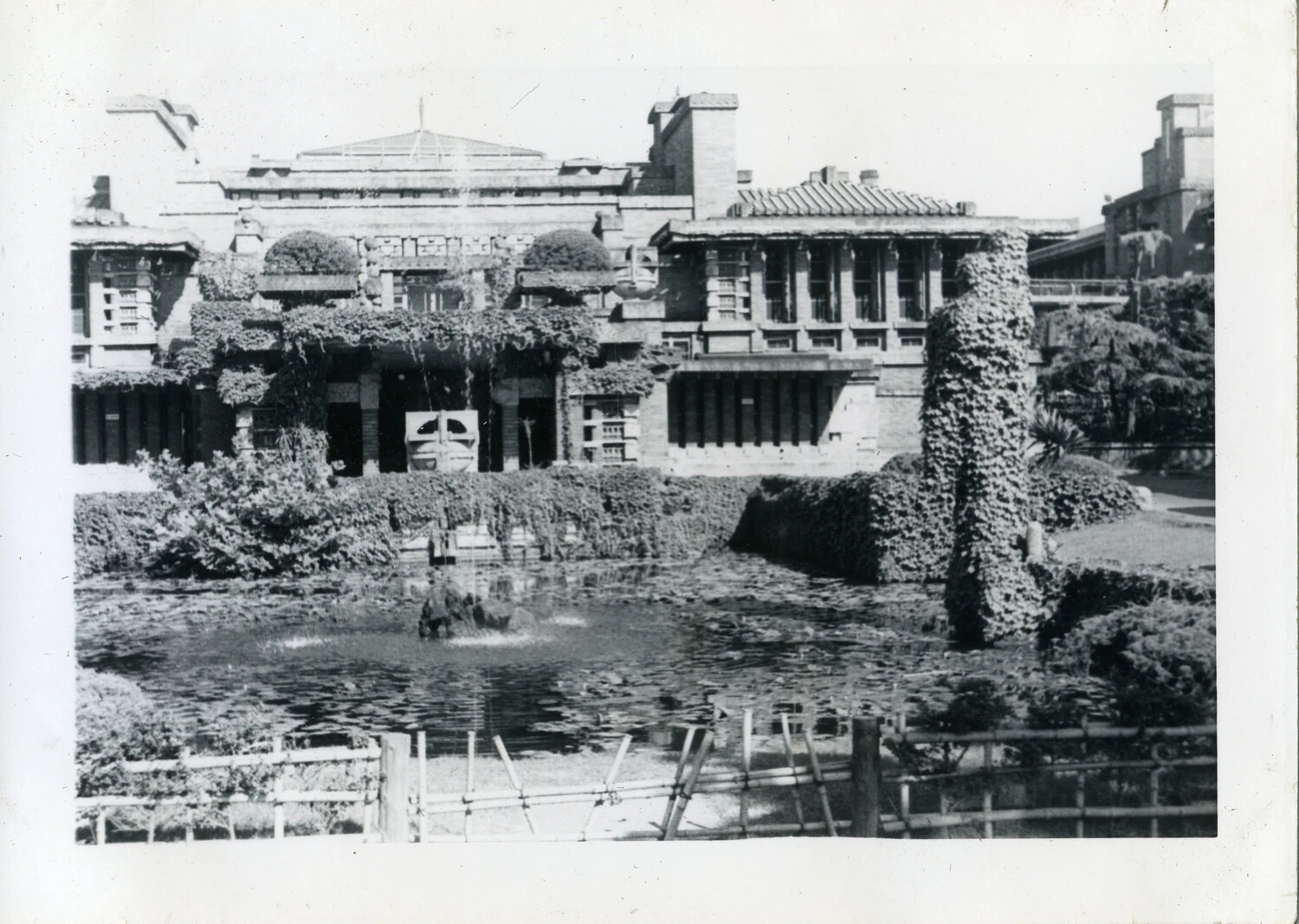 Ivy-Covered Building and Garden Pond, Manila Area