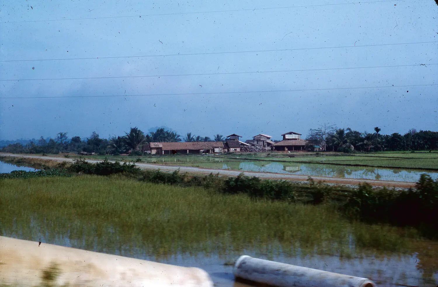 Rural Vietnamese Landscape with Rice Paddies and Village Buildings, 1965