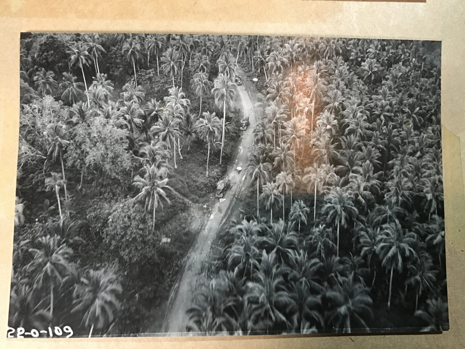 Aerial Strike/Reconnaissance Photograph of Coconut Plantation Road, Southwest Pacific Theater