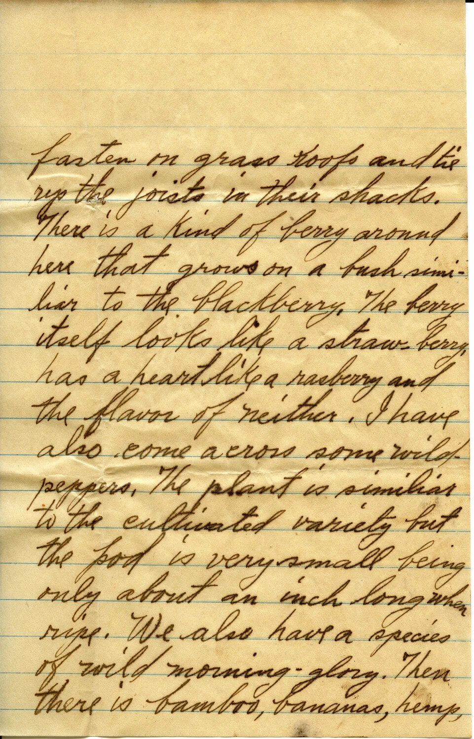 Handwritten Letter Page from Winnie Wagener, February 10, 1911
