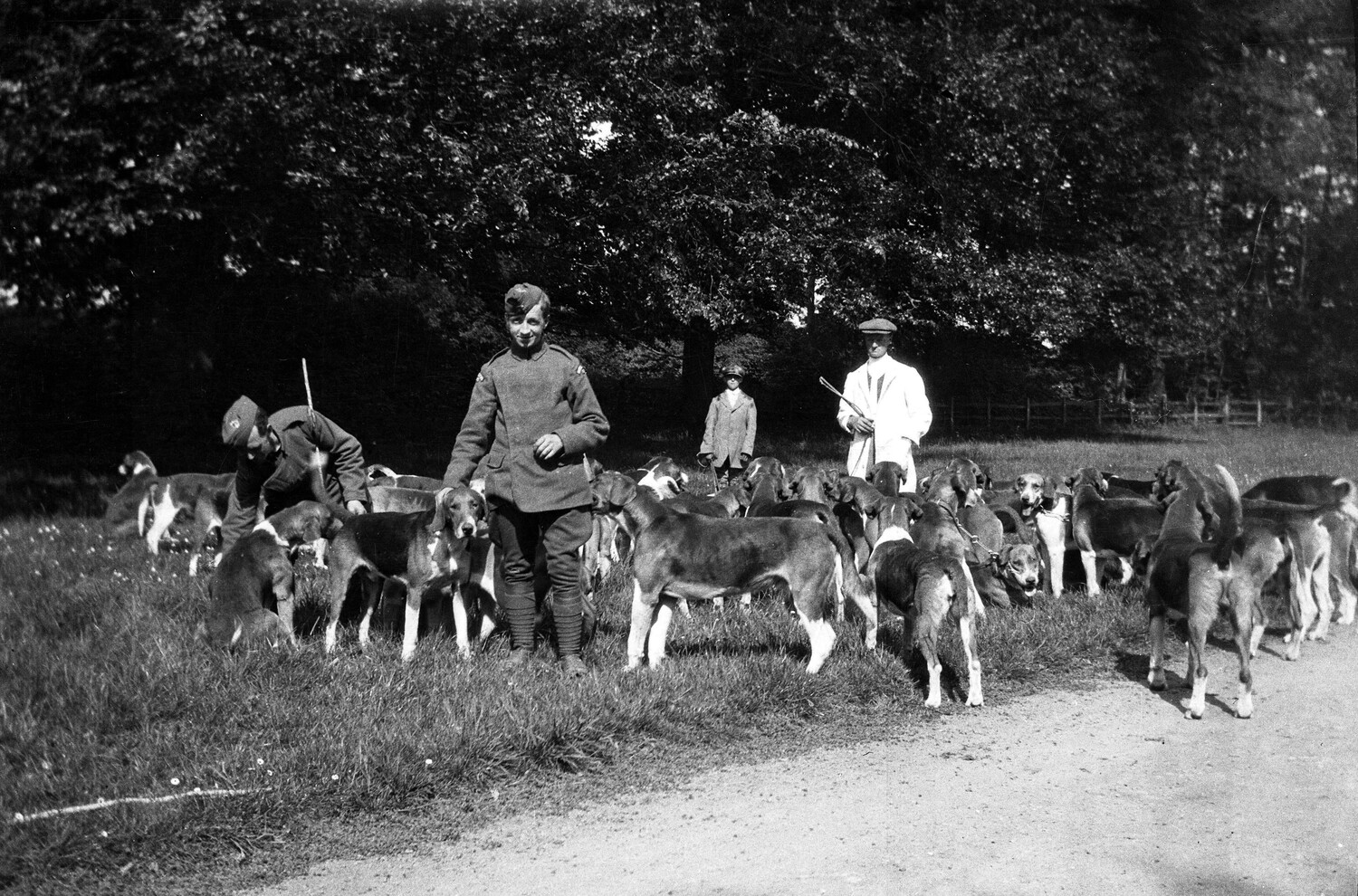 Uniformed Serviceman with English Foxhound Pack, WWI-Era England