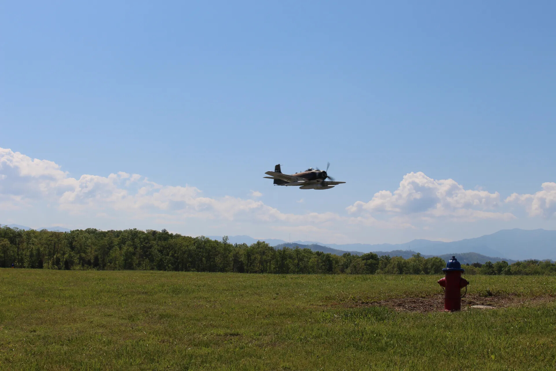 Douglas A-1 Skyraider in Low Banking Flight Over Grass Field (Wide View)