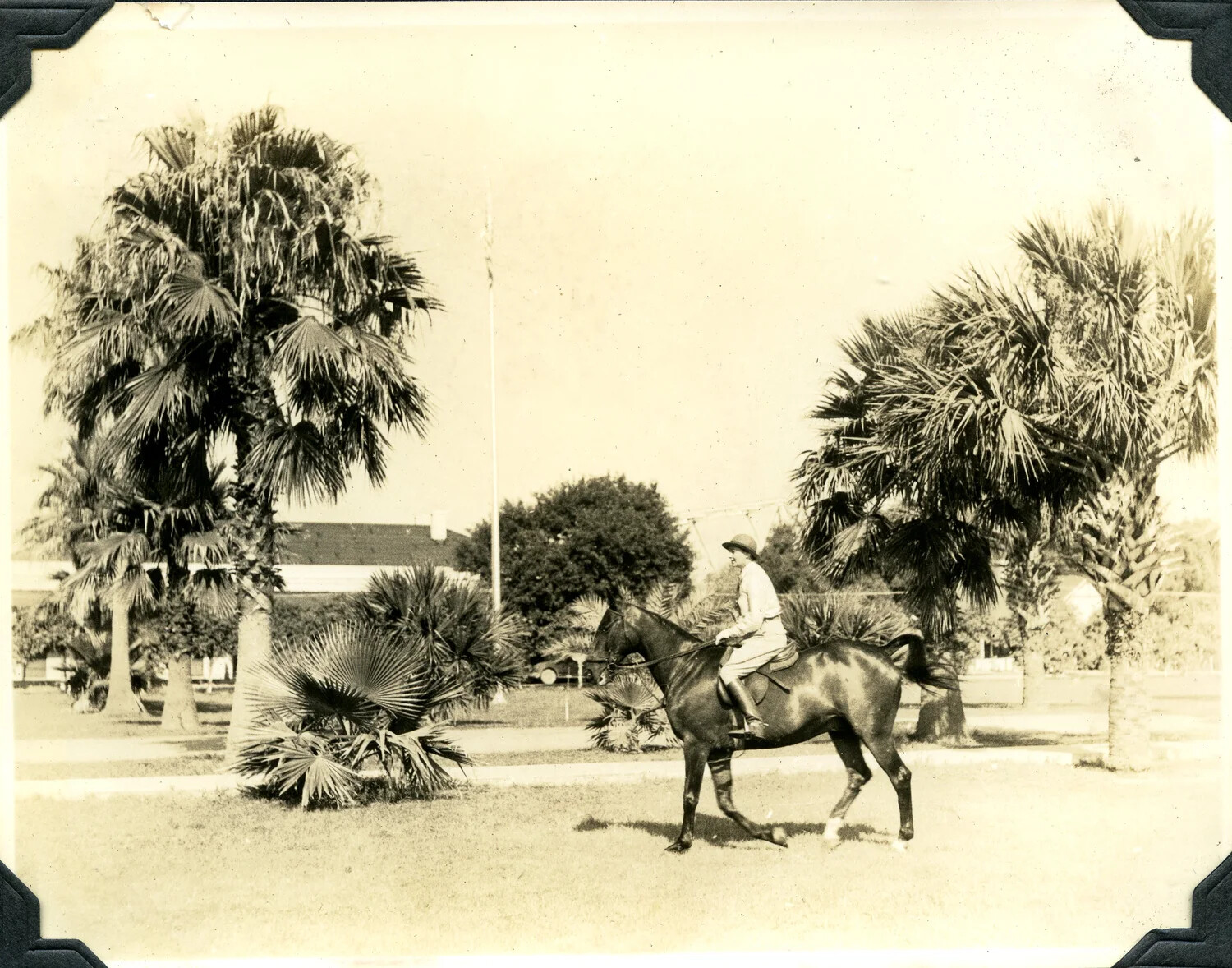 Officer on Horseback, Southern Army Post, Jervey Signal Corps Album