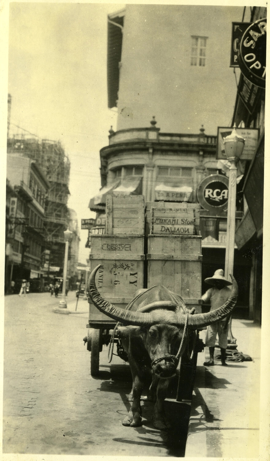 Carabao Cart Loaded with Shipping Crates Before Manila Storefronts, Philippines, c. 1920s-1930s