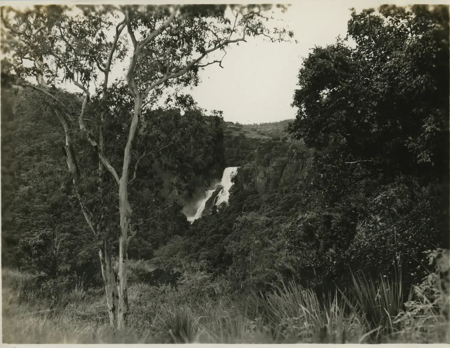 Jungle Waterfall Landscape, Southwest Pacific Theater, 312th Bombardment Group Collection