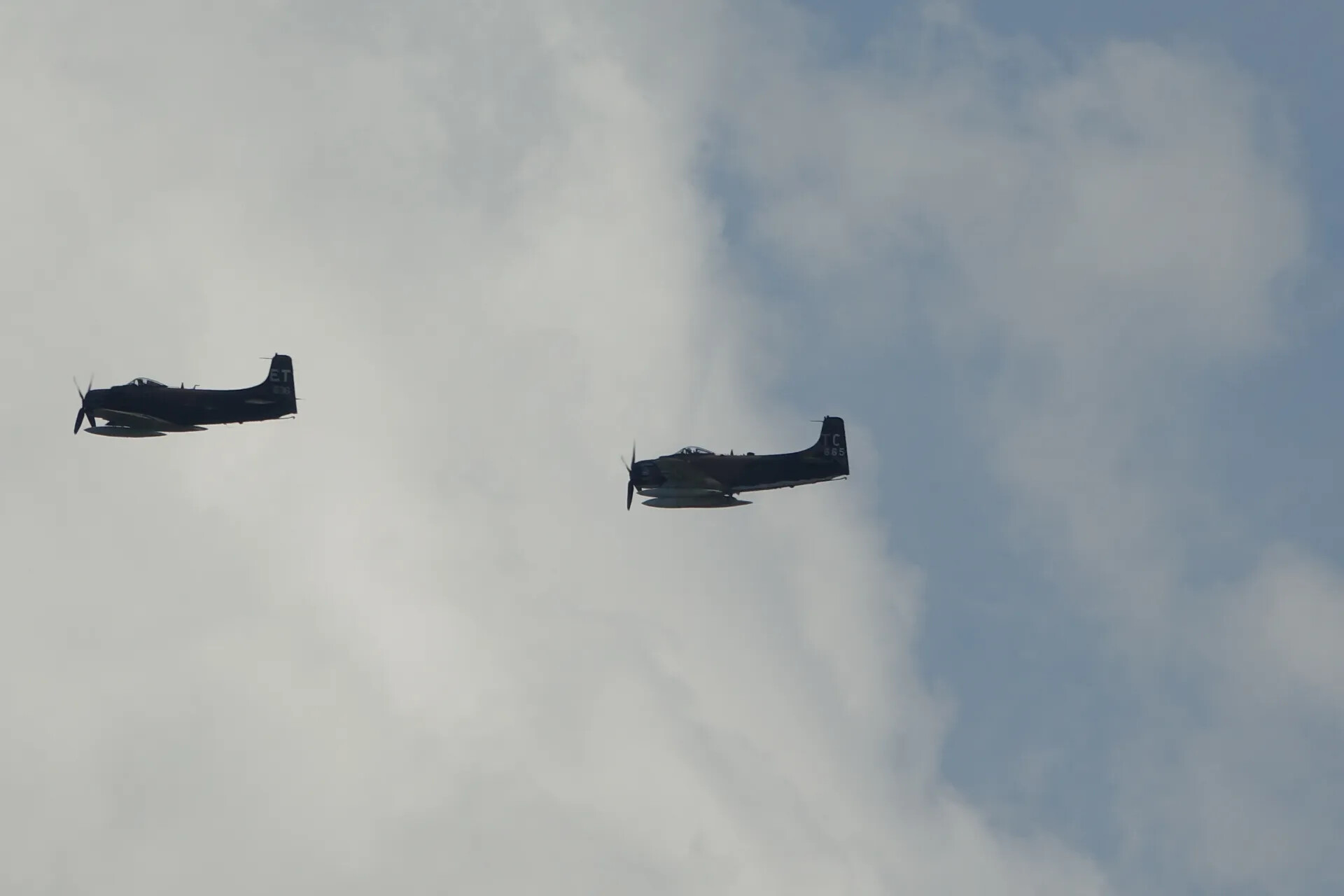 Two A-1 Skyraiders in Formation Flight, Reunion Event