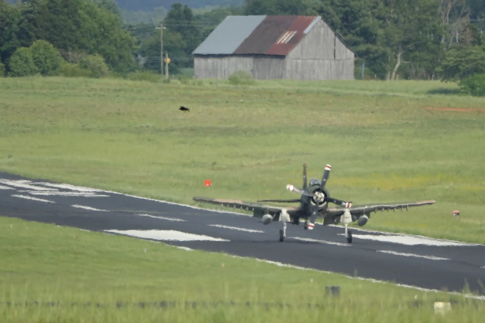 A-1 Skyraider on Runway at Rural Airshow, May 2019