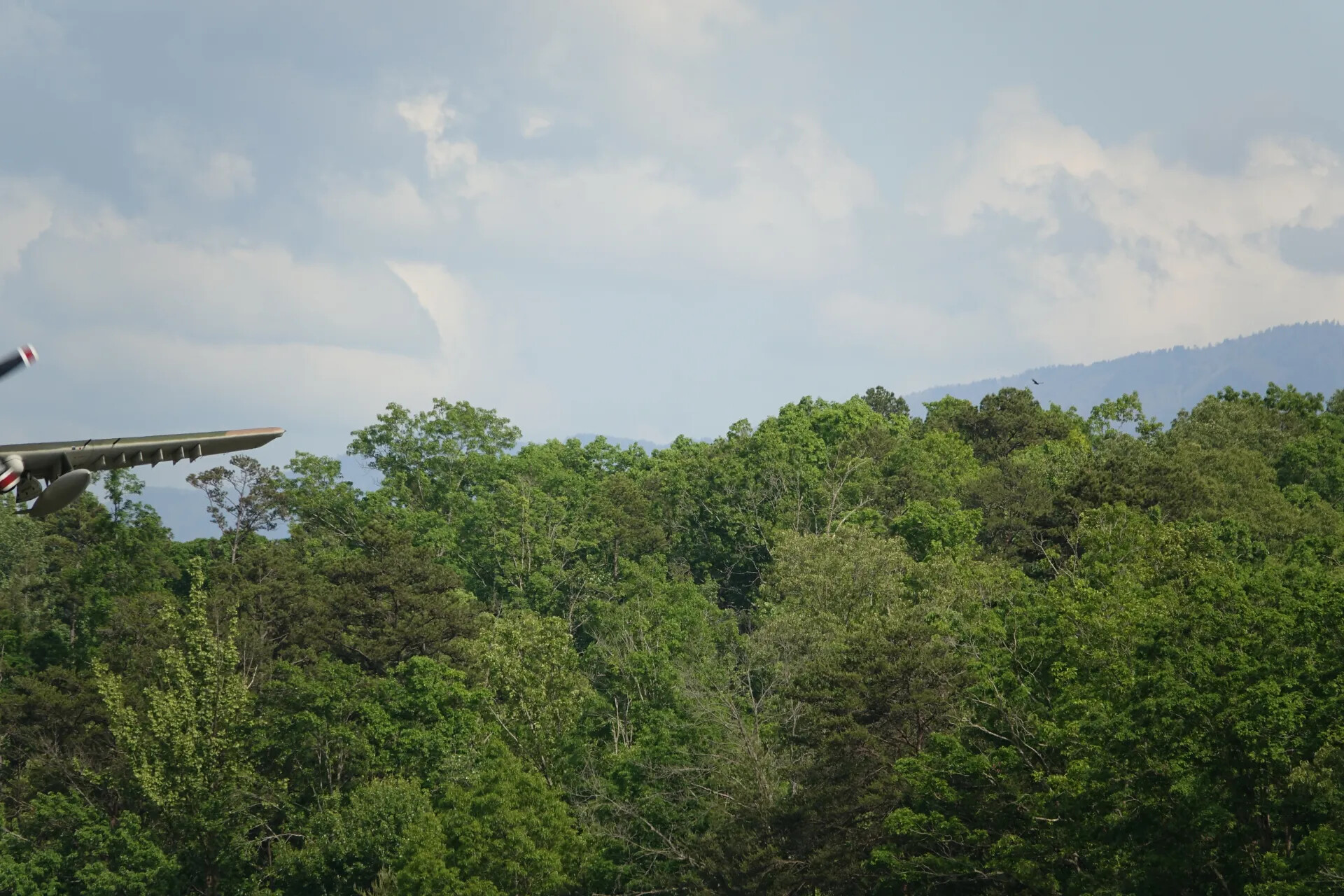 Aircraft Wingtip and Treeline, May 2019 Warbird Event (Partial Frame)
