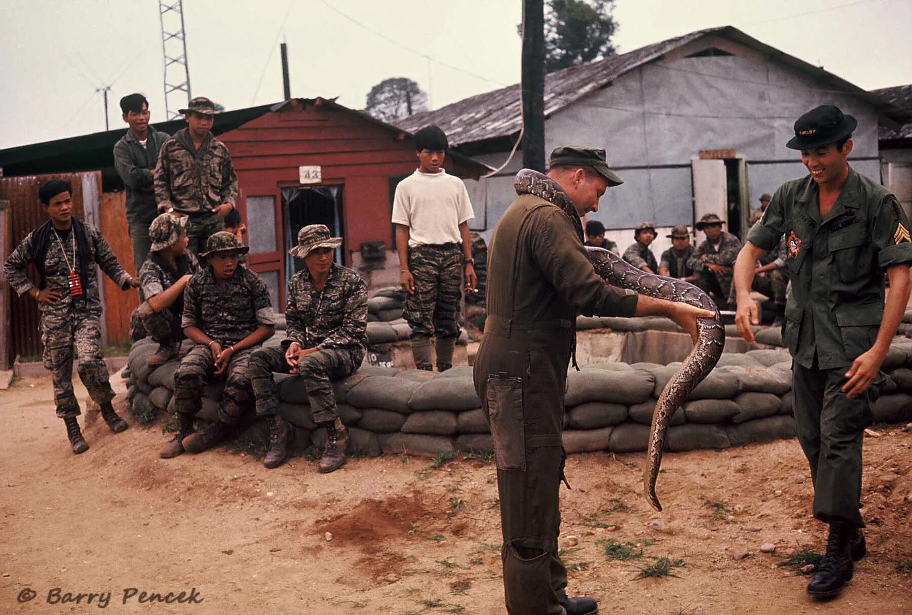 Servicemen and Indigenous Troops Gather Around a Python at Base Camp