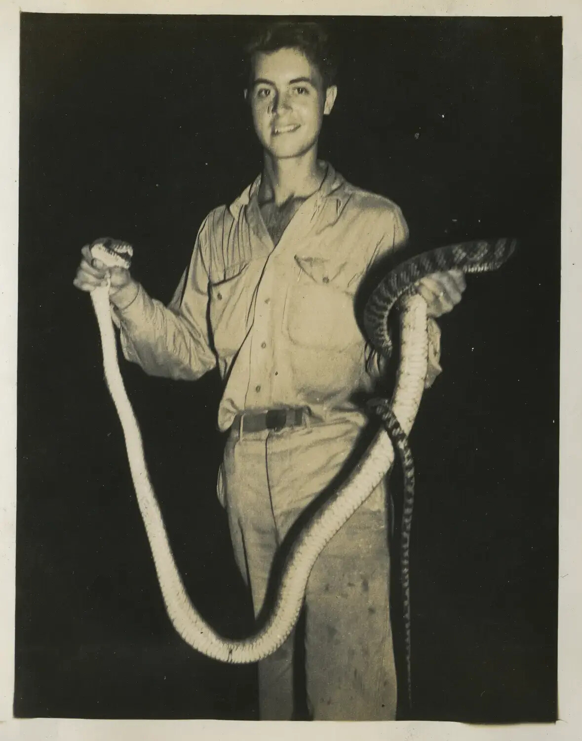 Airman of the 312th Bomb Group Posing with a Large Snake, Southwest Pacific Theater