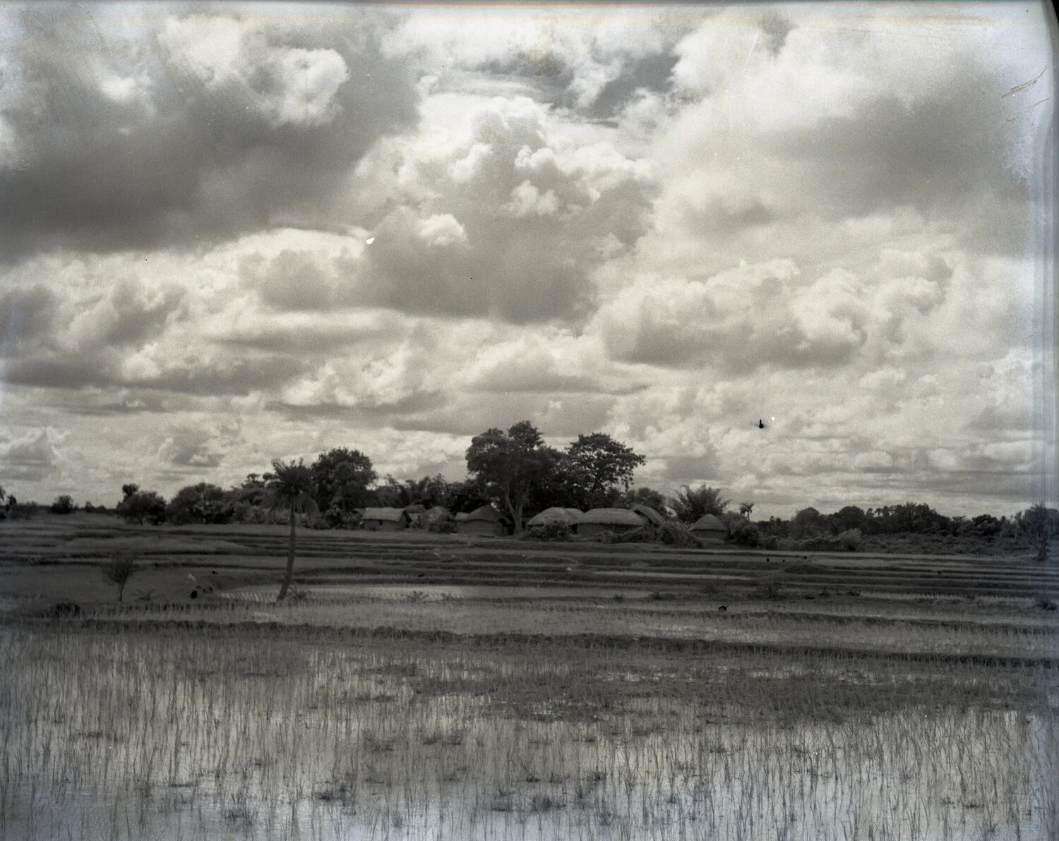 Rice Paddy and Village Landscape, Burma, WWII China-Burma-India Theater