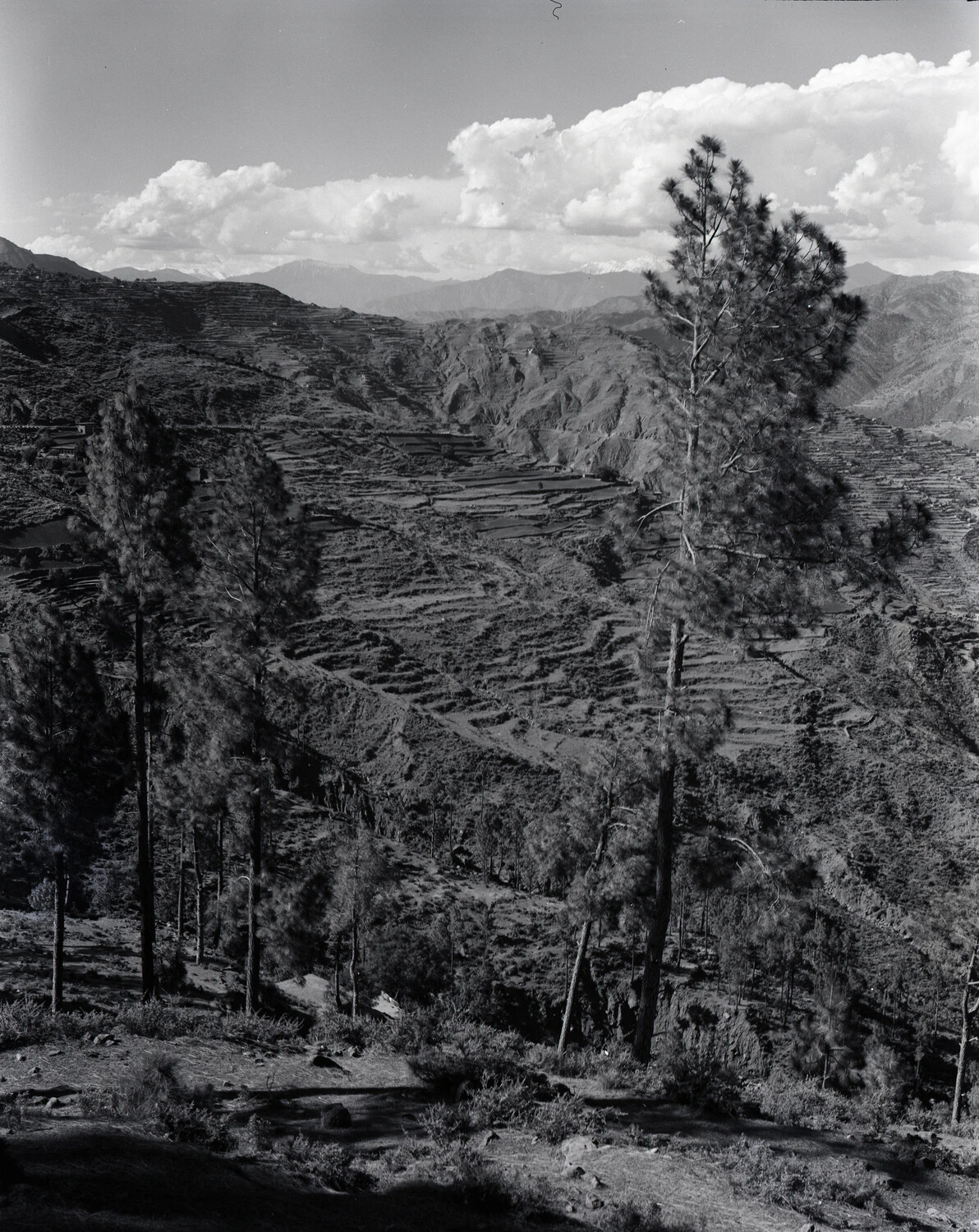 Terraced Mountain Valley Landscape, India-Burma Border Region, 1944-45