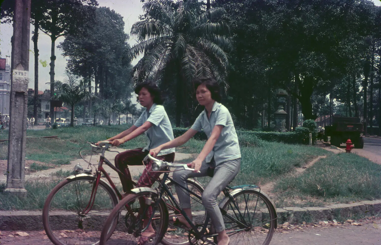 Vietnamese Women Cycling on a Tree-Lined Street, South Vietnam, 1965