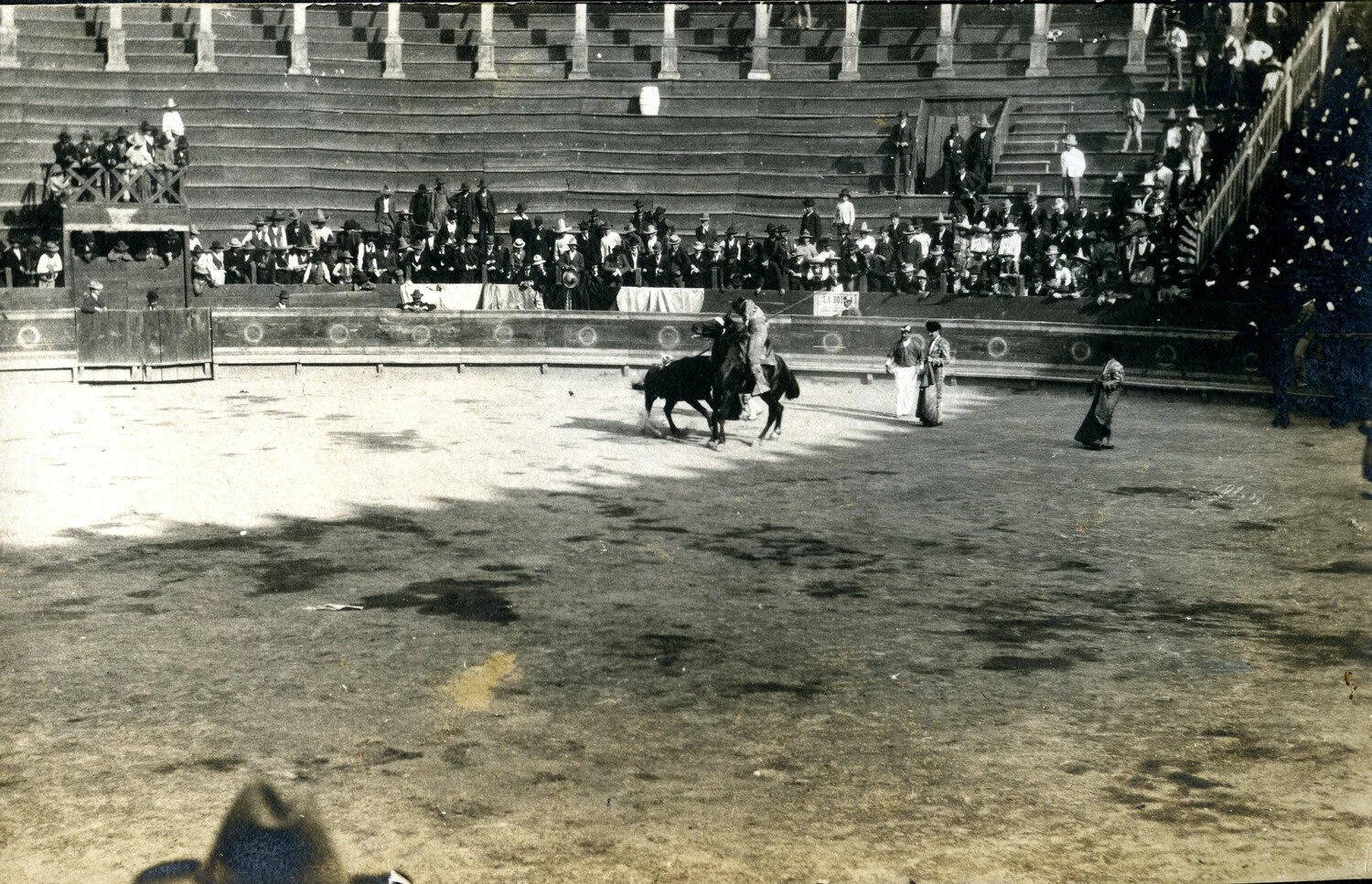 The Picador on His Horse — Enlarged Detail, USS Columbia Album, c. 1898-1910s