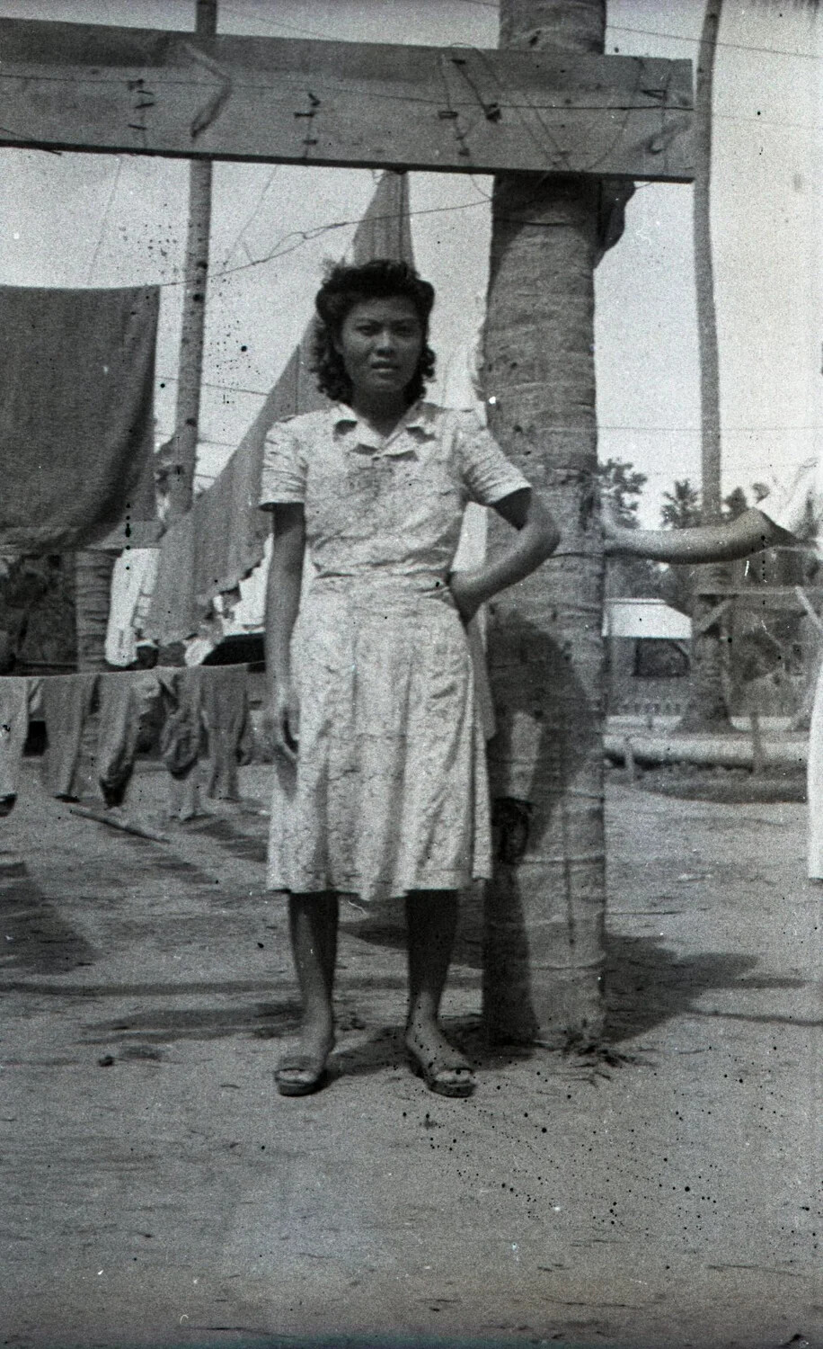 Filipino Woman by Palm Tree with Laundry Line, Luzon, Philippines, World War II