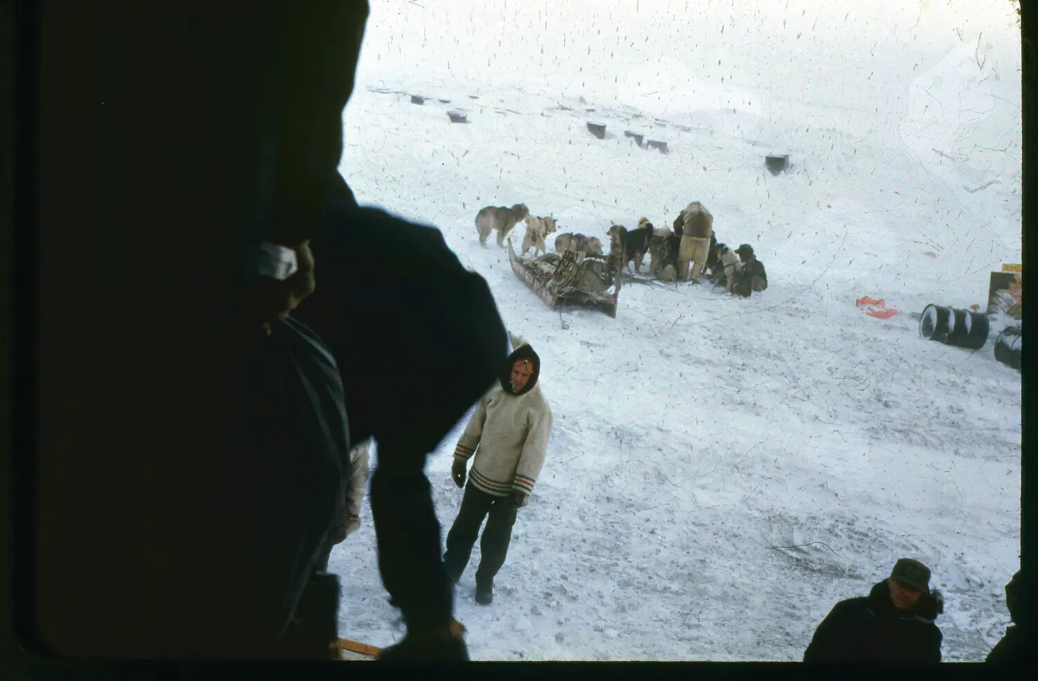 Dog Sled Team and Personnel at Thule Air Base, Greenland, c. 1950-1955