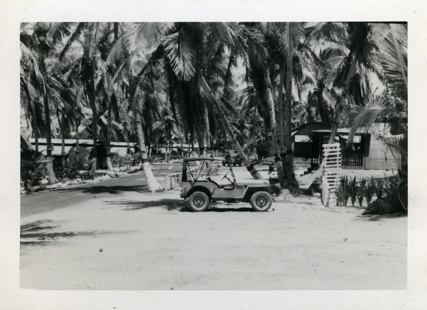 Military Jeep Parked Among Palm Trees, NAS Agana, Guam