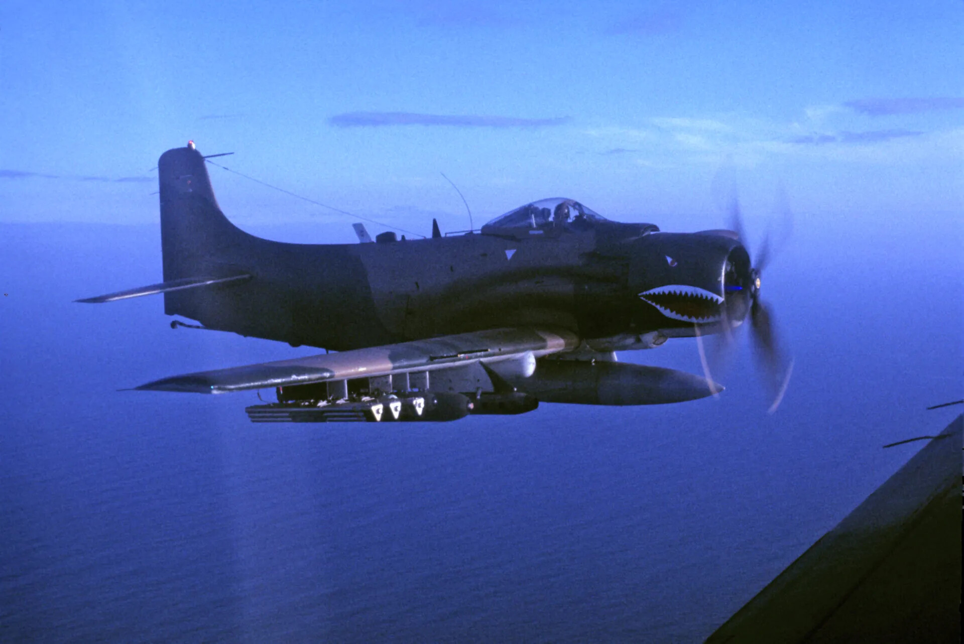 A-1 Skyraider with Shark-Mouth Nose Art in Flight, Vietnam War Era