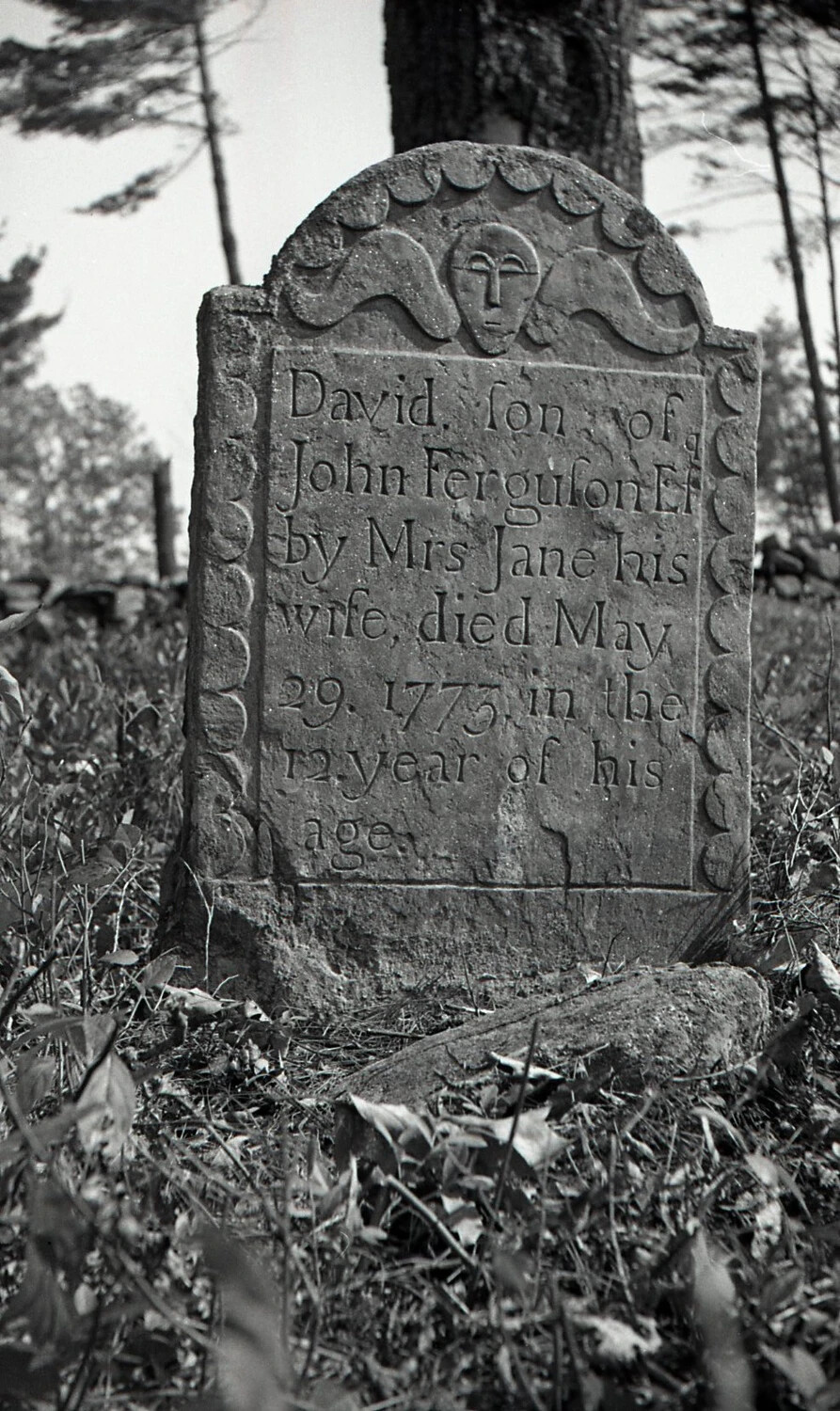 Colonial Gravestone of David Ferguson, Died 1773 — New England Burying Ground, 'Stateside Negatives' Series