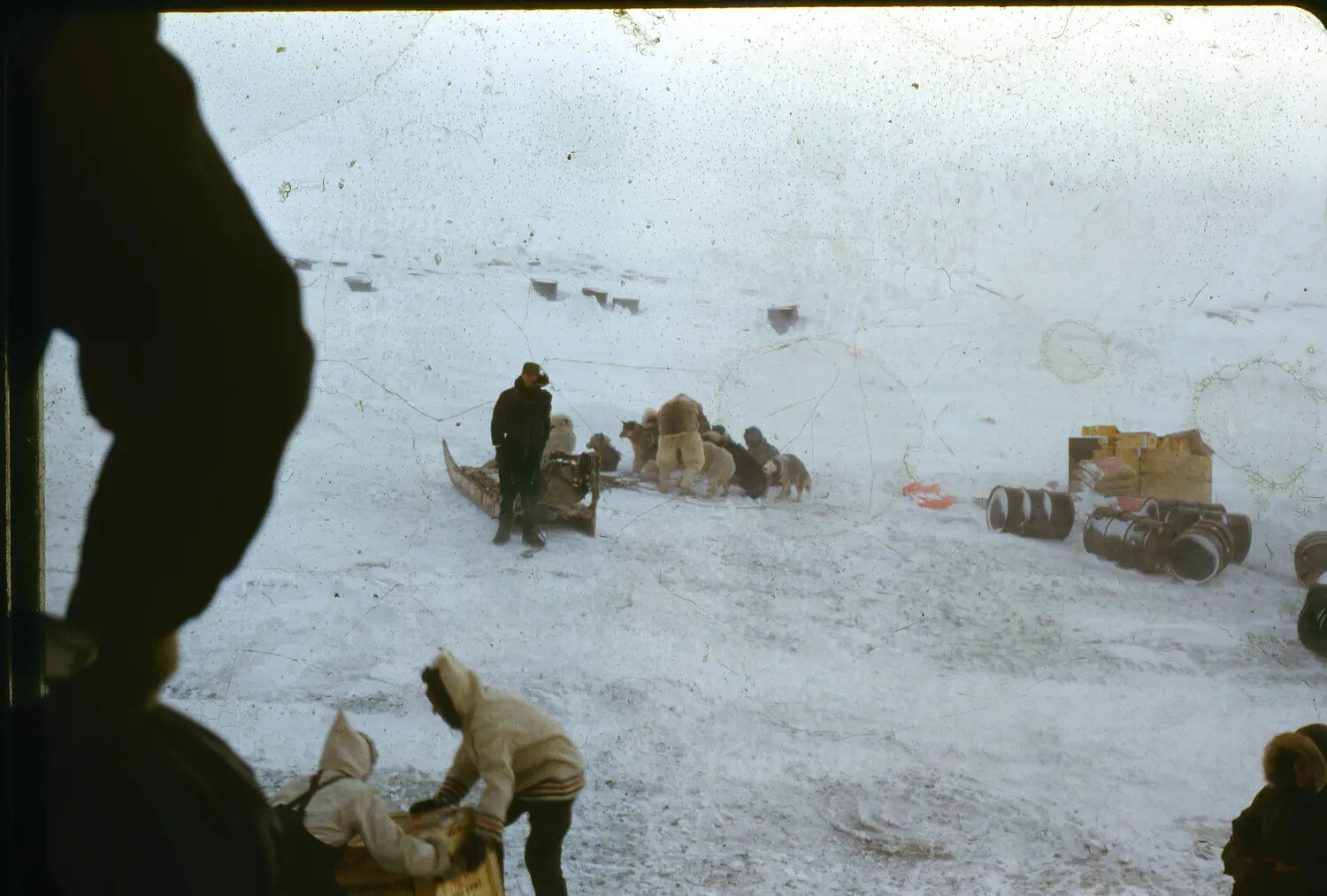 Dog Sled Team and Arctic Supply Cache, Thule AFB, Greenland, c. 1950-1955