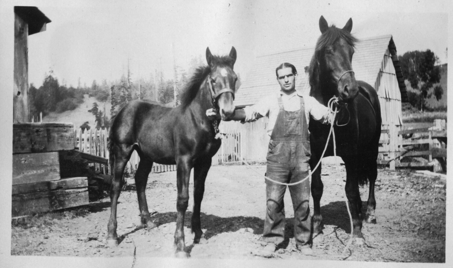 Farmhand Posing with Two Horses in a Rural Yard