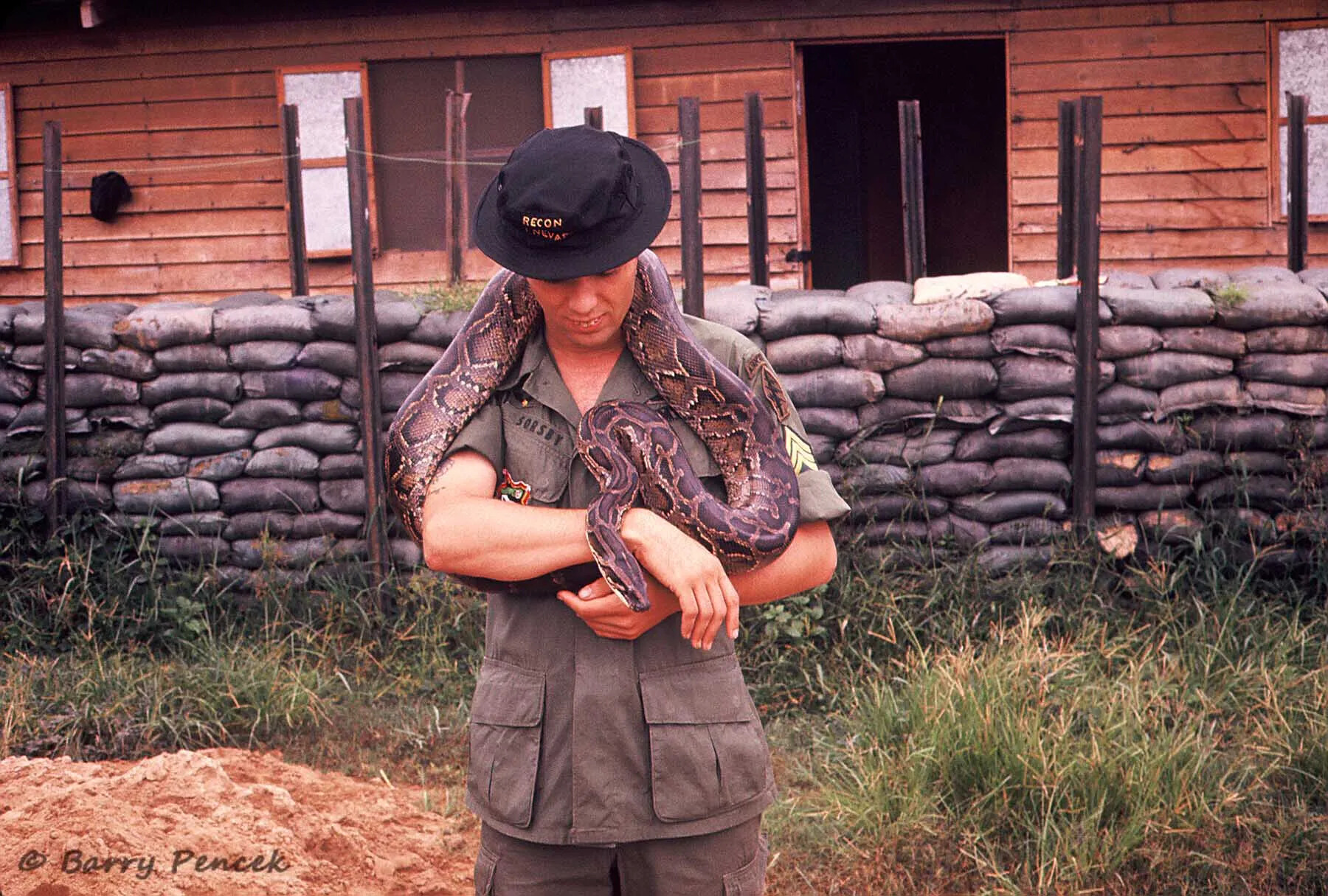 SOG-Era Soldier 'Sorsby' Holding Python at Forward Base, Vietnam War