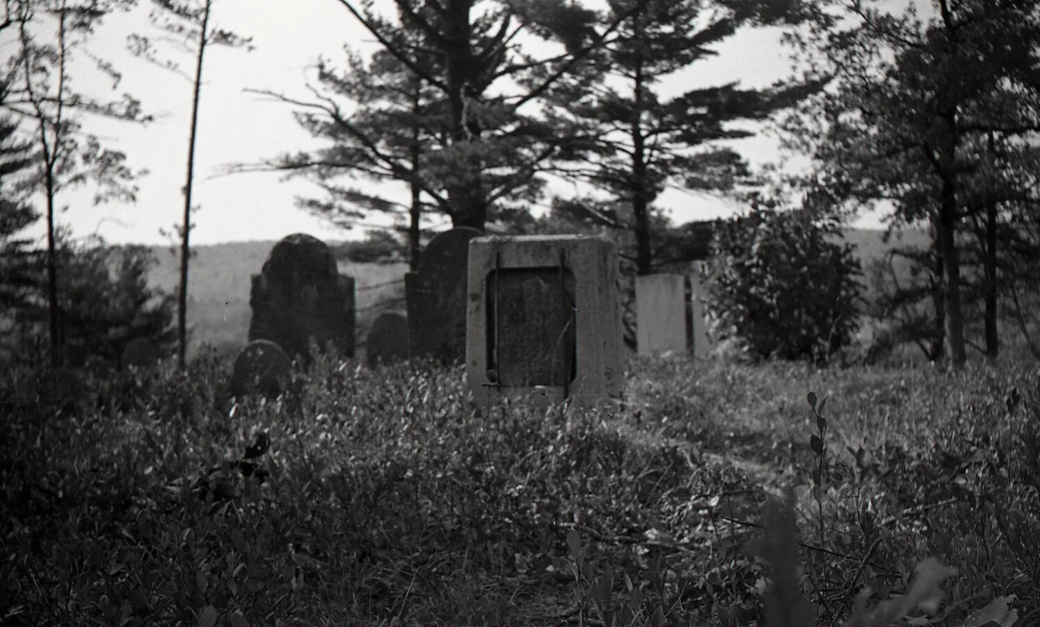 Stone Tomb Marker Among Overgrown Historic Graves, New England Cemetery