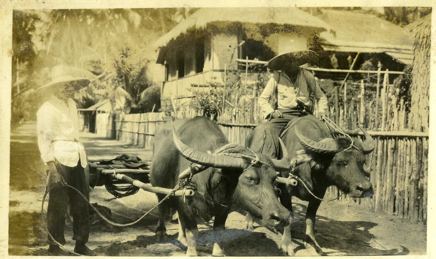 Filipino Men with Carabao and Cart Before a Nipa Hut, Manila Photo Album
