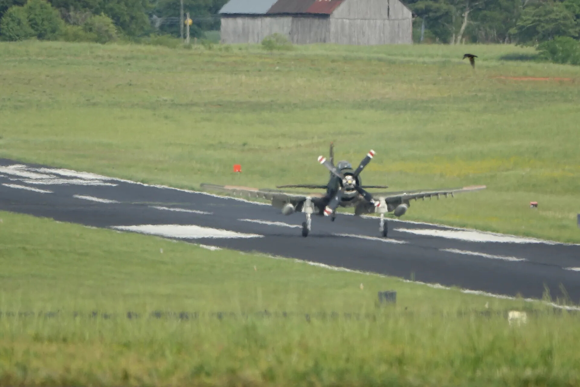 Douglas A-1 Skyraider, Head-On Approach with Pilot Visible in Cockpit