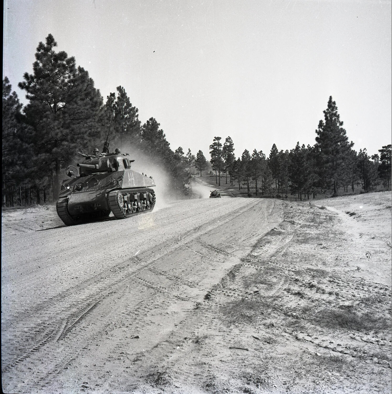 M4 Sherman Tank on Training Maneuvers Through Pine Woods