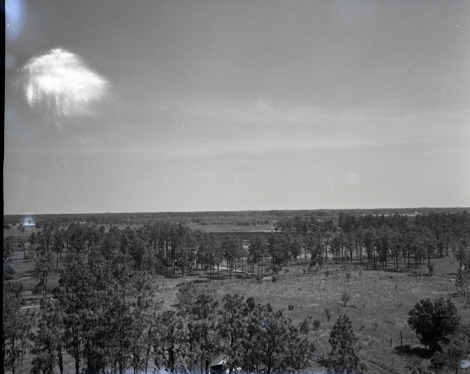 Elevated Landscape View of Pine Woodland, Fields, and Distant Structures