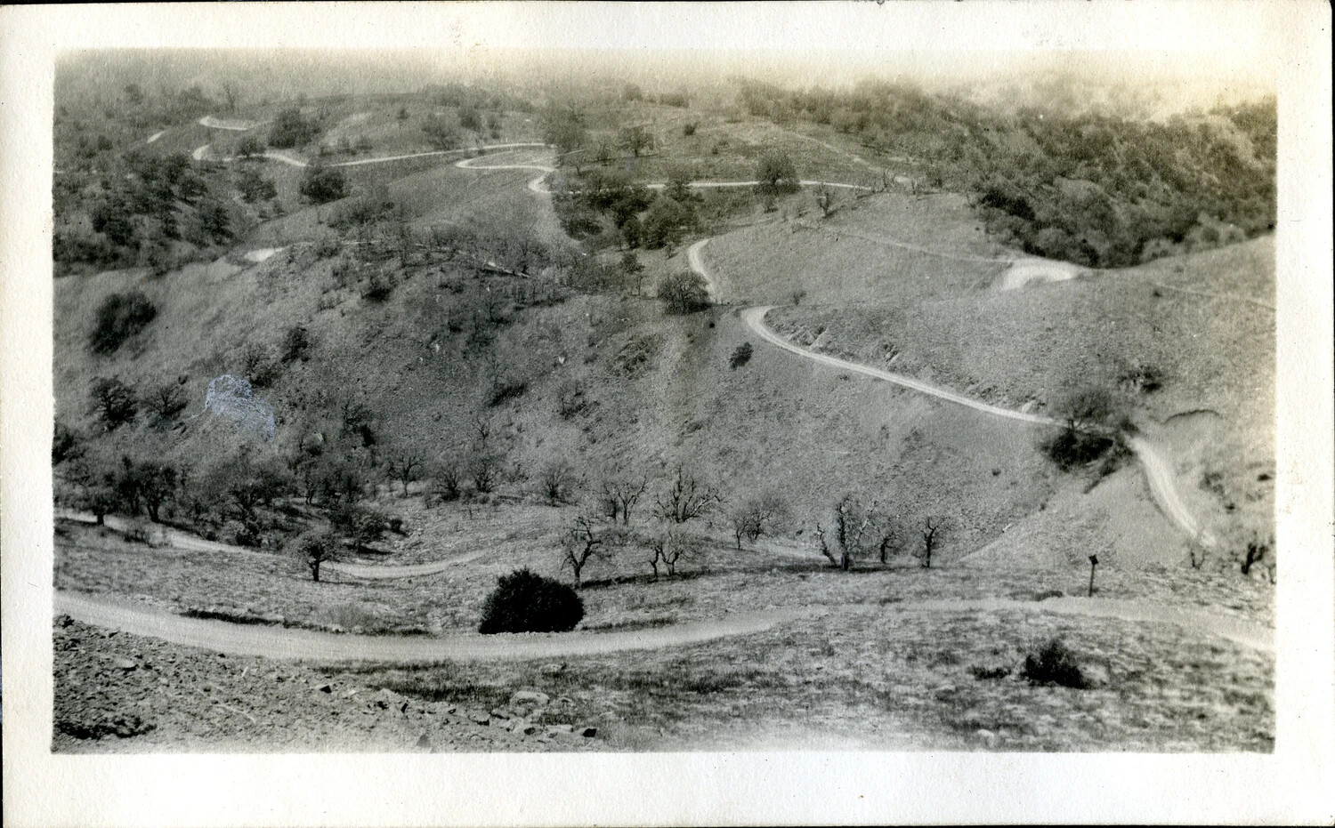 Elevated View of Oak-Studded Hills with Winding Roads, California, World War I Era (c. 1917-1918)