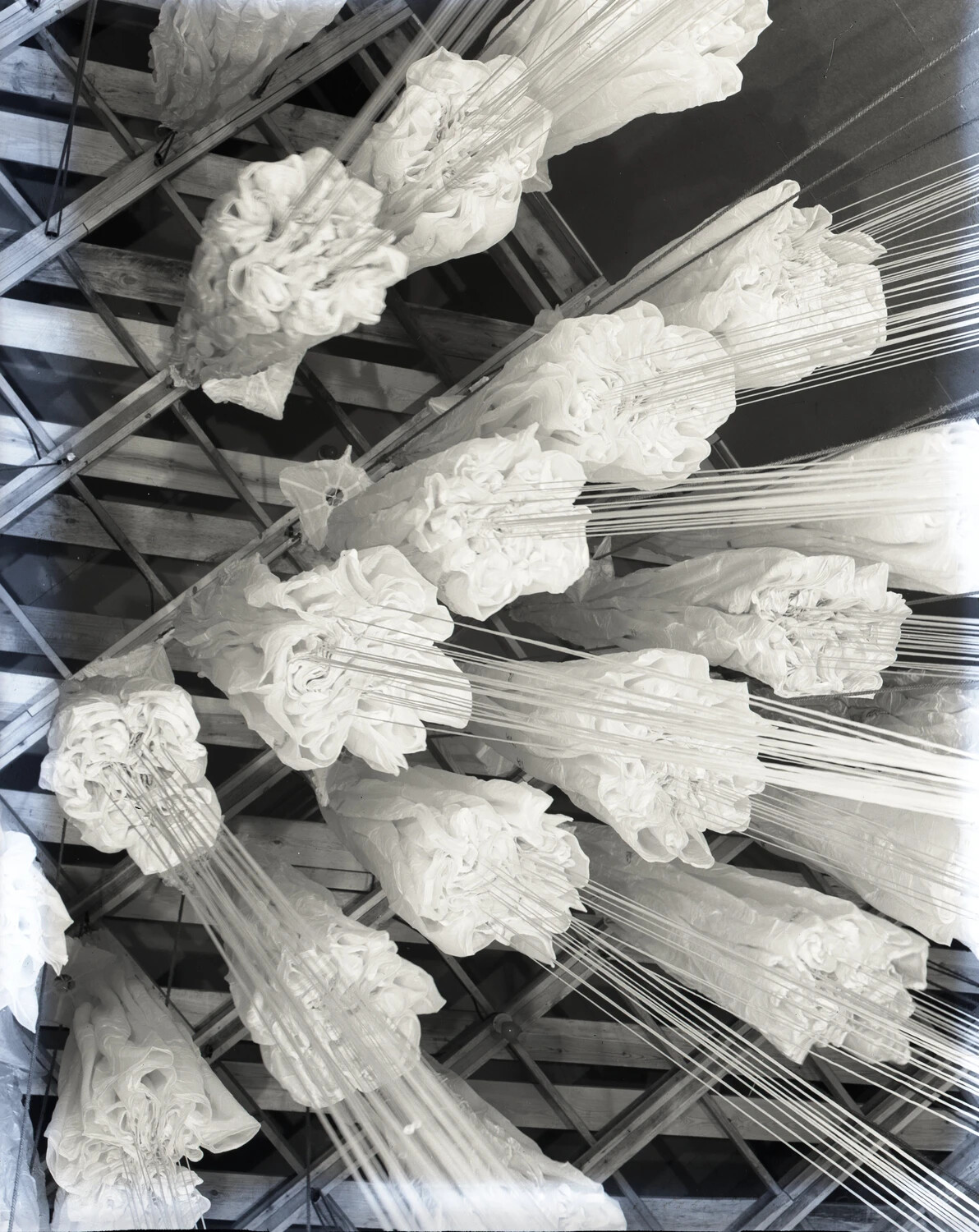 Parachutes Hanging to Dry in Rigging Loft, WWII China-Burma-India Theater