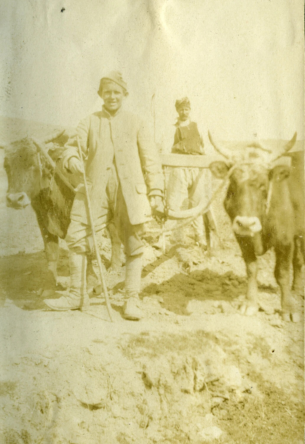 Soldier Beside an Ox-Drawn Cart, Rural France, World War I Era