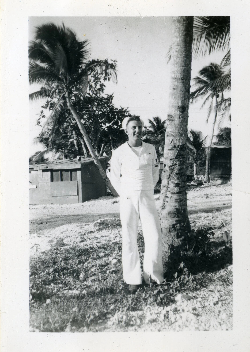 Sailor in Dress Whites Beside Palm Tree, VR-6 Squadron, Agana, Guam