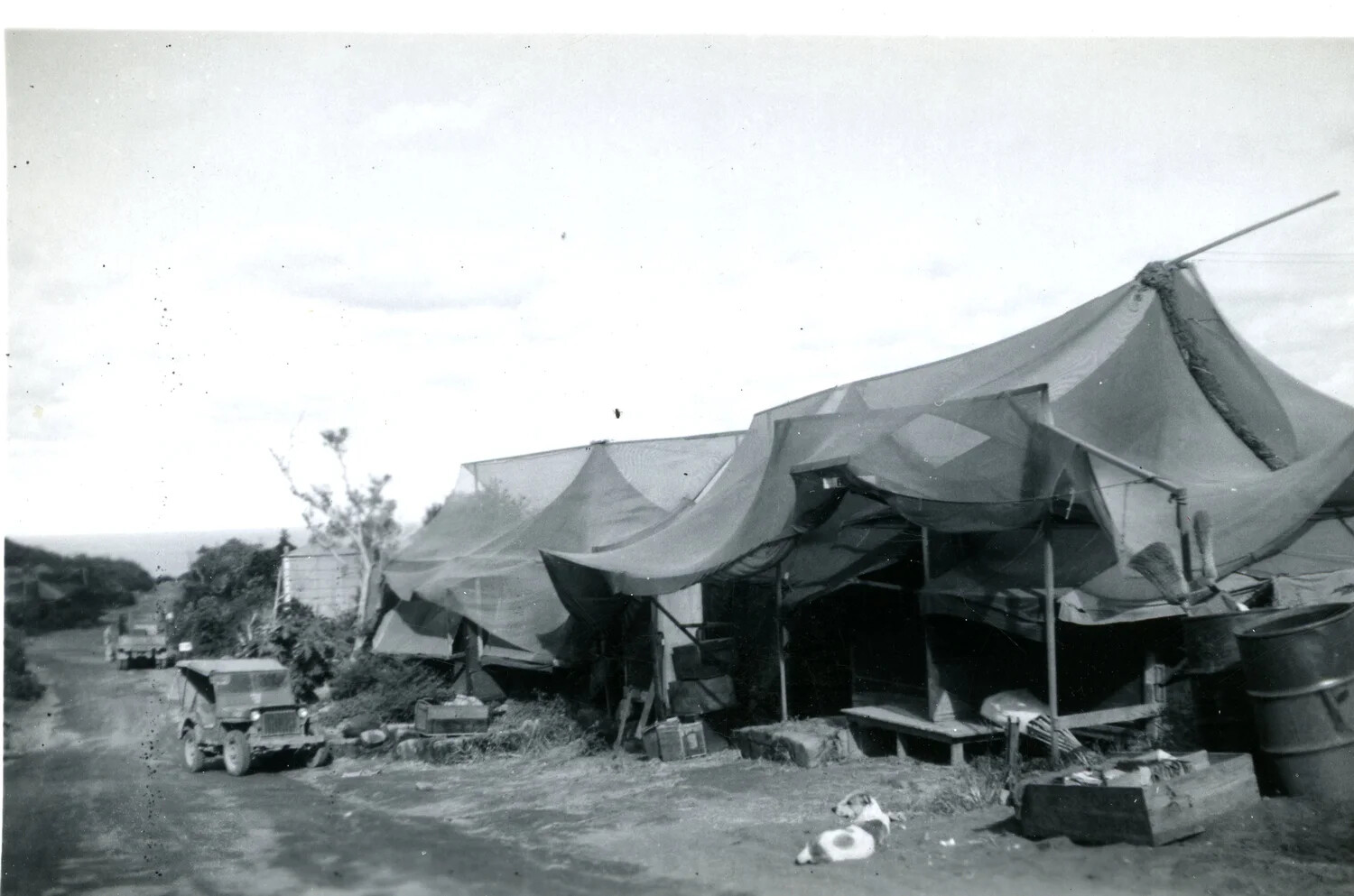 5th Marine Division Tent Encampment, Pacific Staging Area, WWII