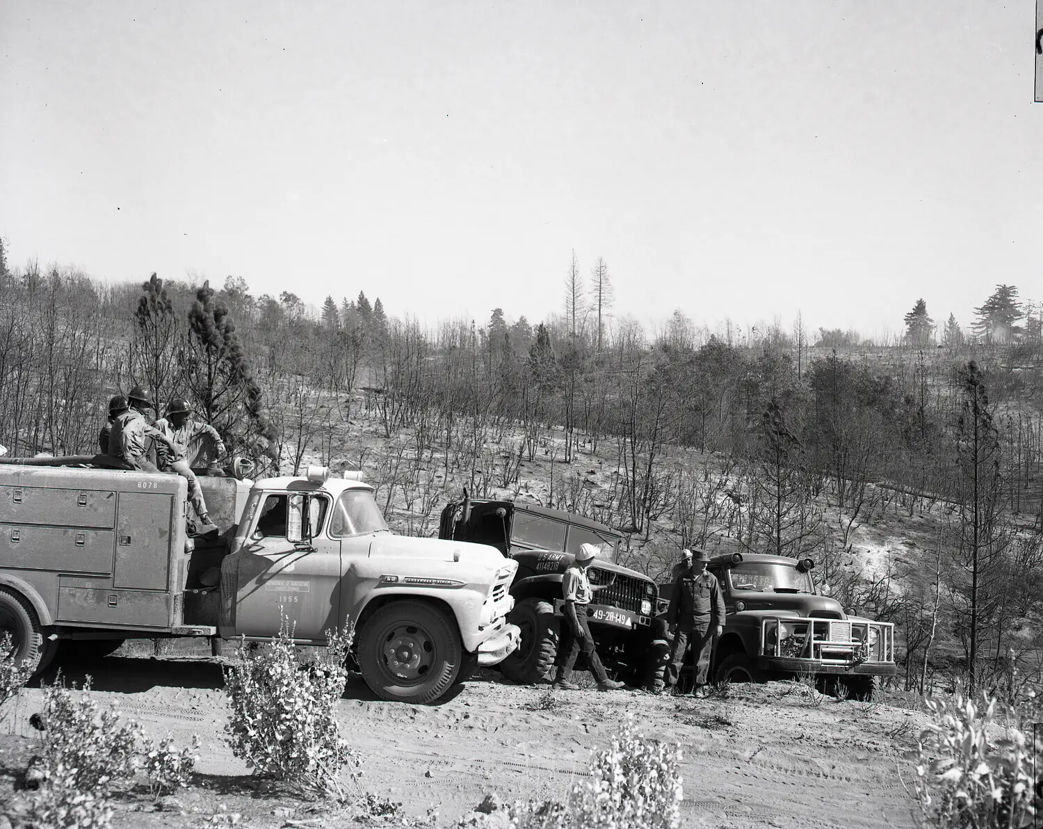 National Guard and Forestry Vehicles at Wildfire Suppression Staging Area